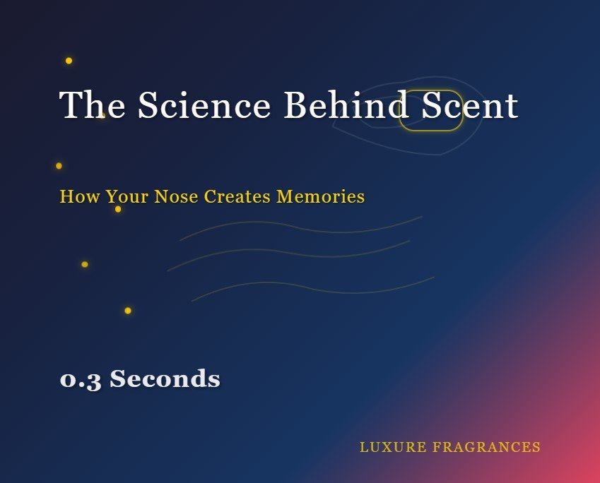 The Scient Behind Luxure Fragrances Perfumes