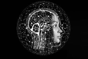 Ola Factory Effect on Brain