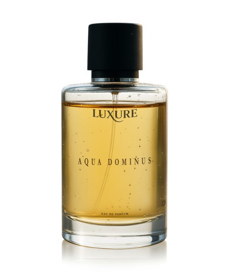 Aqua Dominus Perfume by Luxure Fragrances
