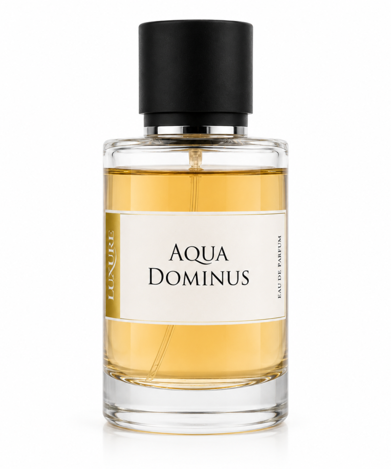Aqua Dominus Perfume by Luxure Fragrances