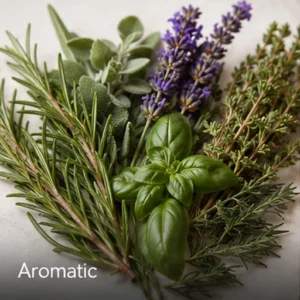 Aromatic