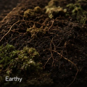 Earthy