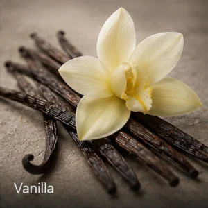 Vanilla
